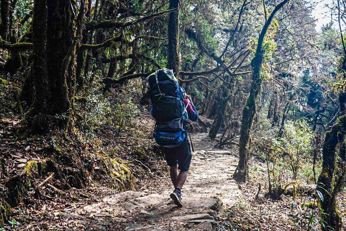 porter nepal